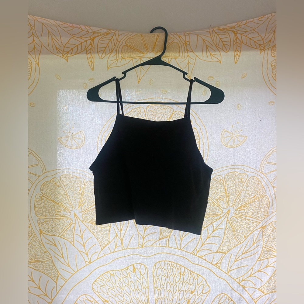 Wild Fable Crop Top